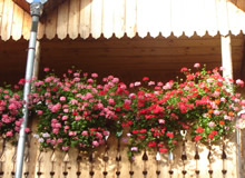 balcon 3